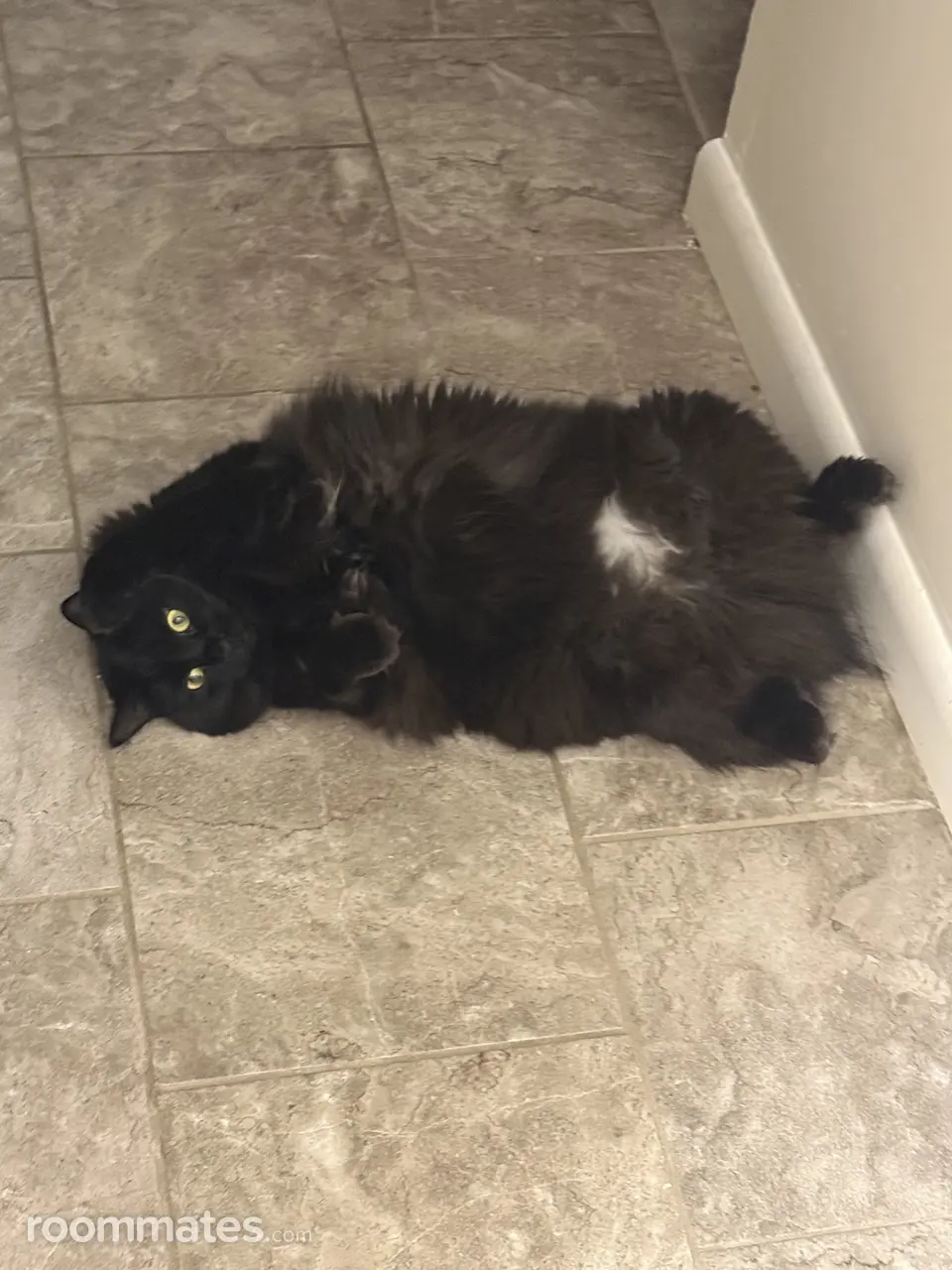 Profile photo 2 of 7