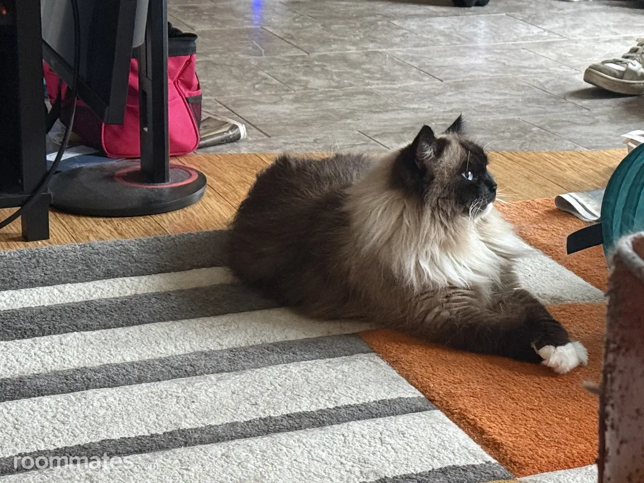 Profile photo 3 of 7