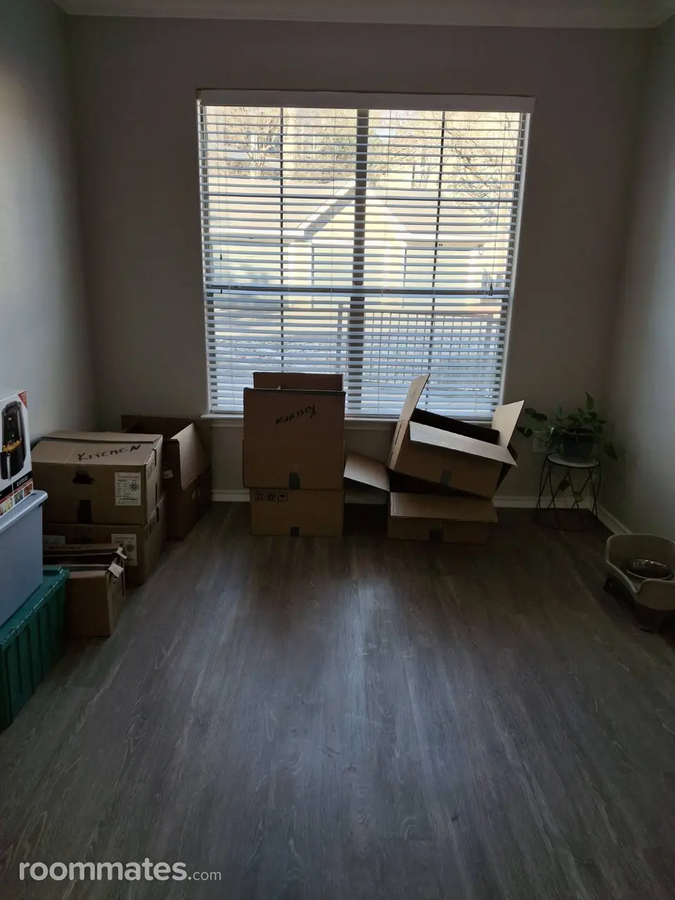 Profile photo 3 of 8