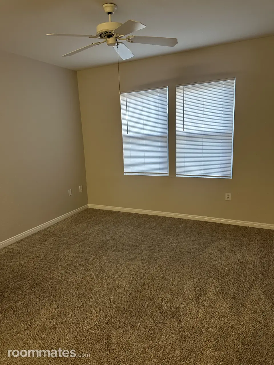 Profile photo 6 of 12