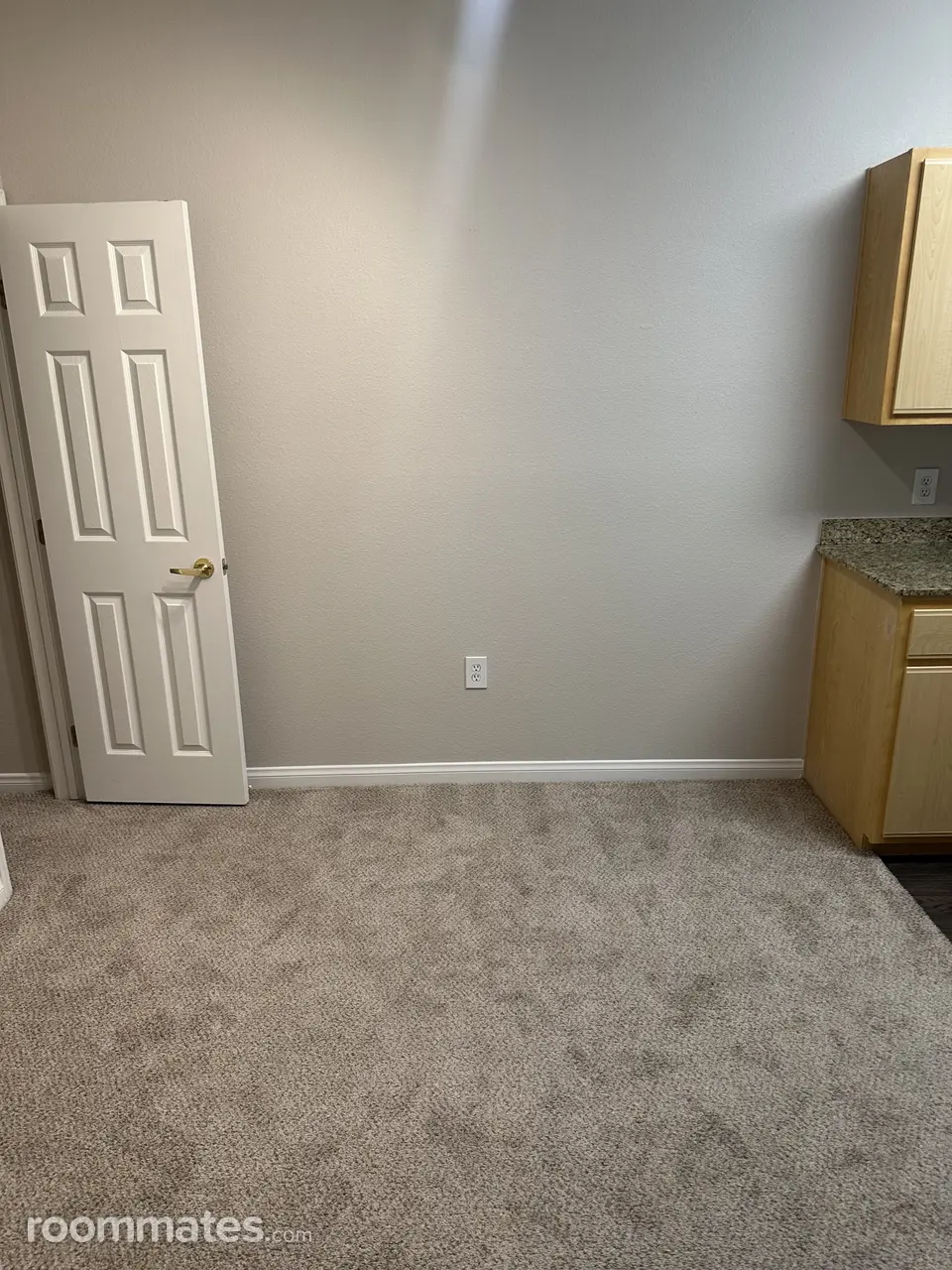 Profile photo 5 of 12