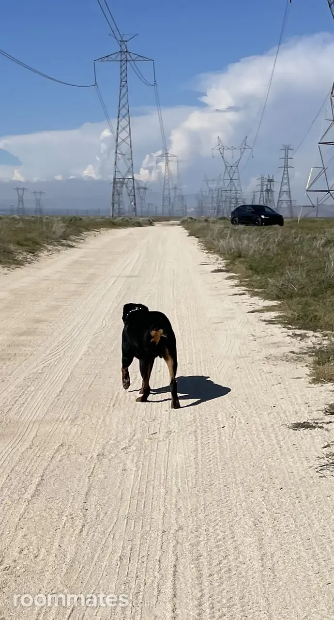 Profile photo 4 of 4