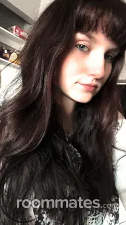 Roommate looking Chandler, AZ, $900