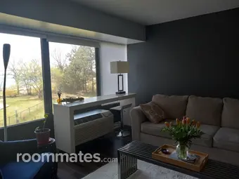 Room for rent in Detroit, MI $1000, condo