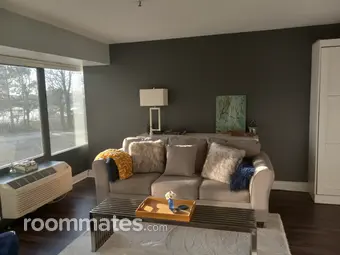 Room for rent in Detroit, MI $1000, condo