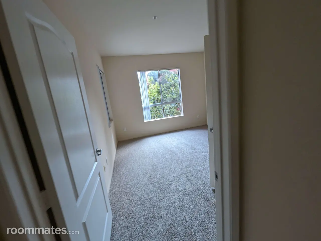 Profile photo 2 of 6