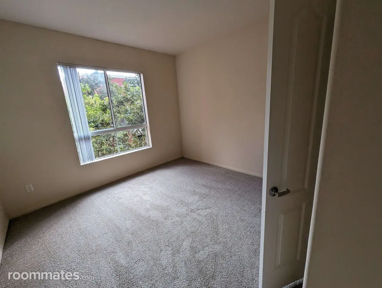 Profile photo 5 of 6