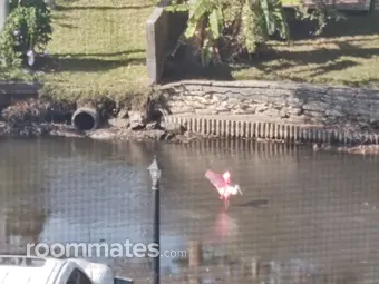 Roommate looking Nappanee, IN, $2000