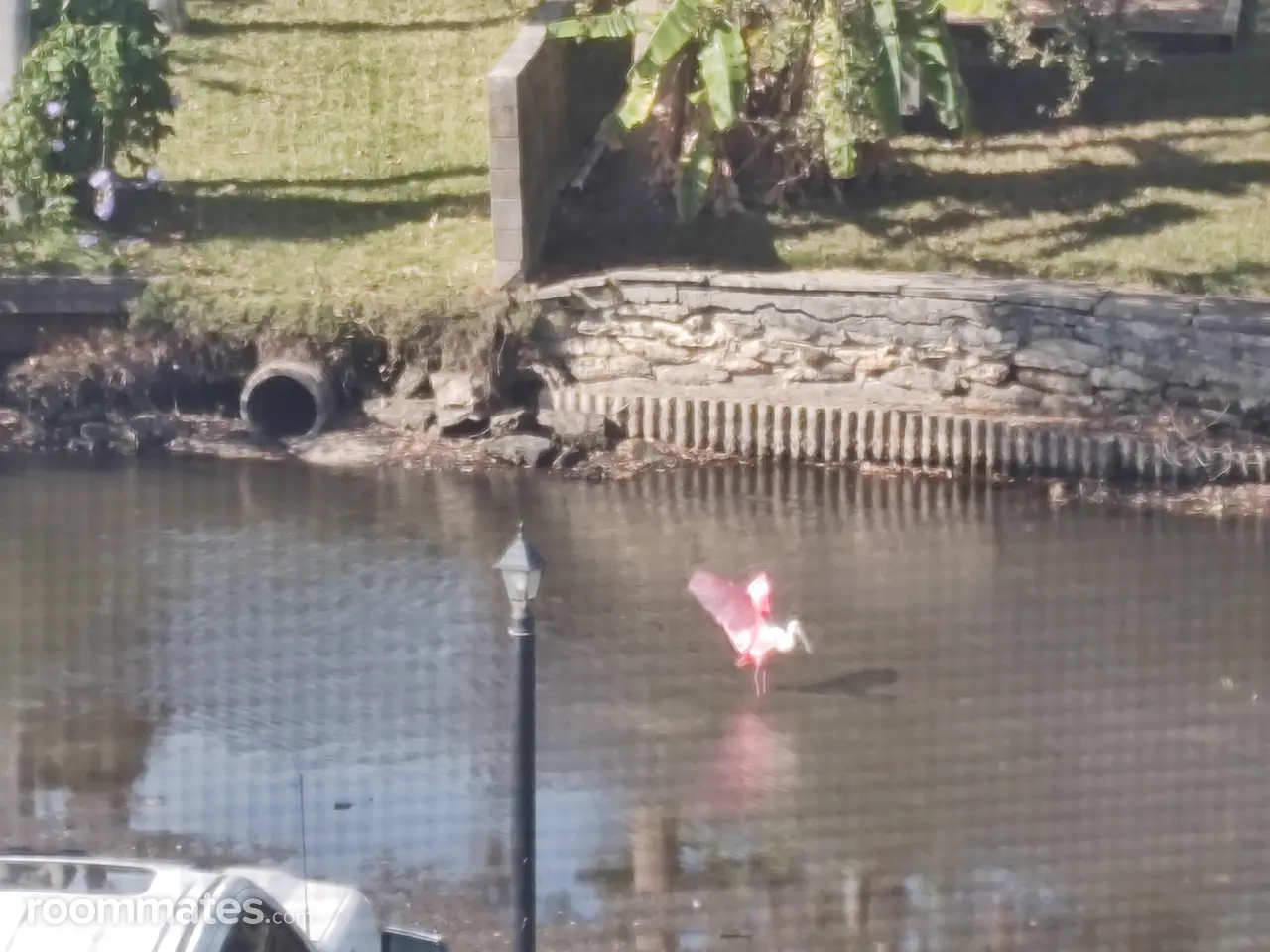 Profile photo 1 of 1