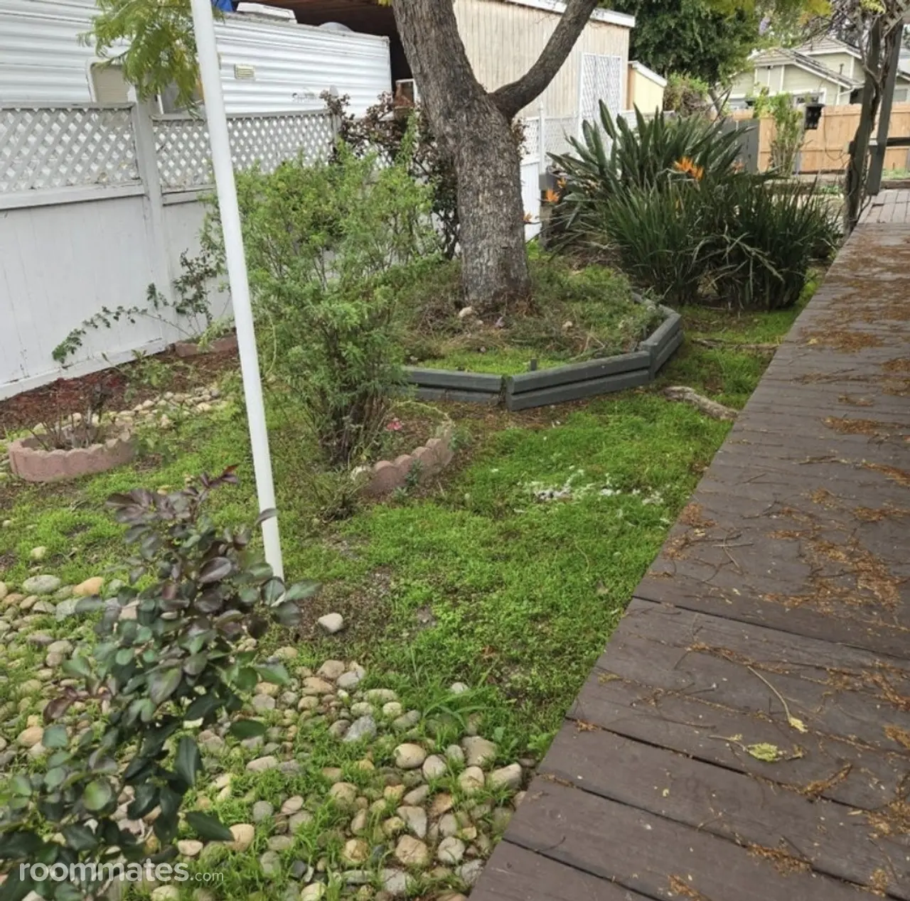 Profile photo 6 of 8