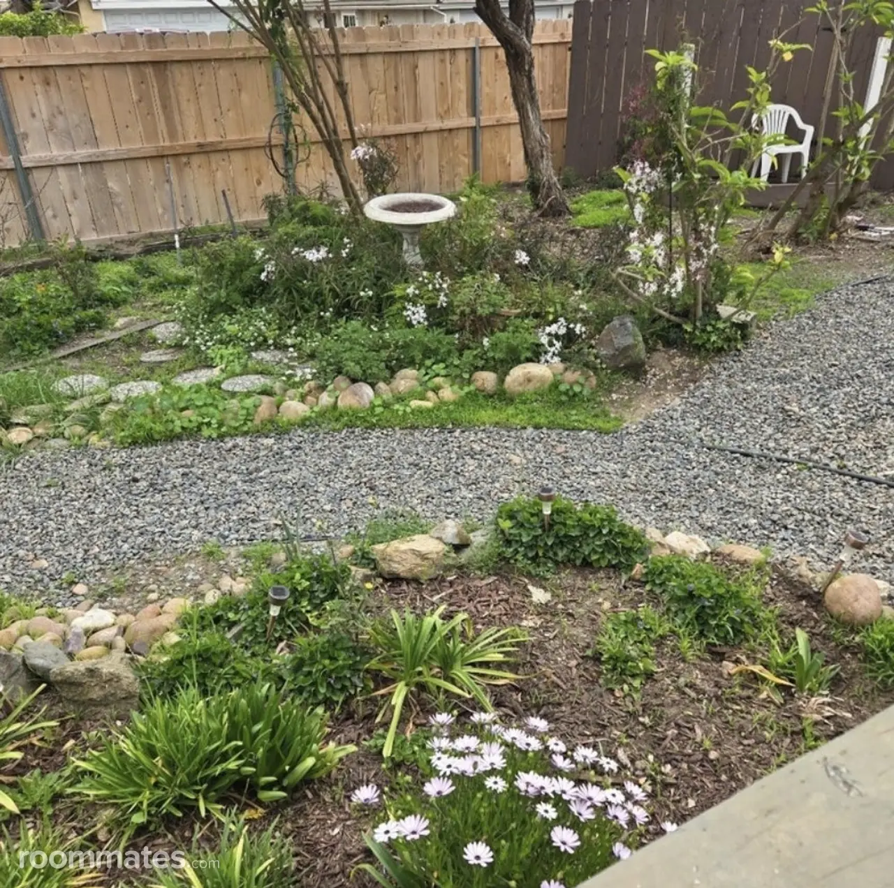 Profile photo 7 of 8