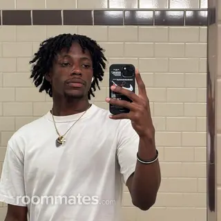 Roommate looking Denver CO, $1000