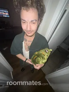 Roommate looking Goleta, CA, $1300