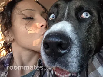 Roommate looking Antioch, TN, $1000