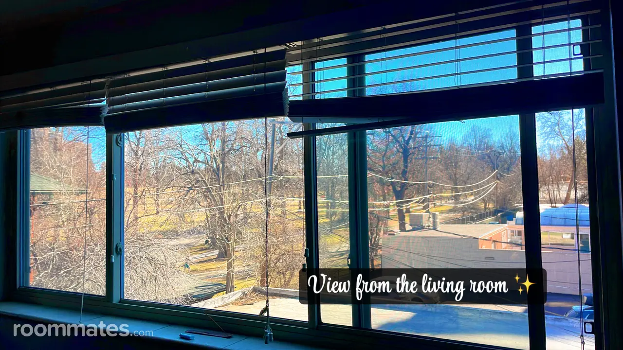 Profile photo 6 of 9