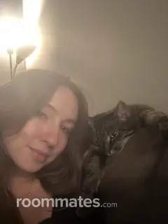 Roommate looking Dallas, TX, $900