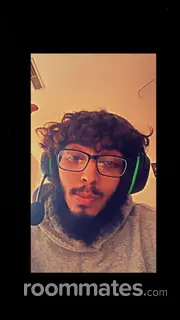 Roommate looking Flint, MI, $800