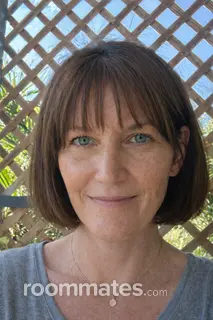 Roommate looking Saint Petersburg, FL, $1200