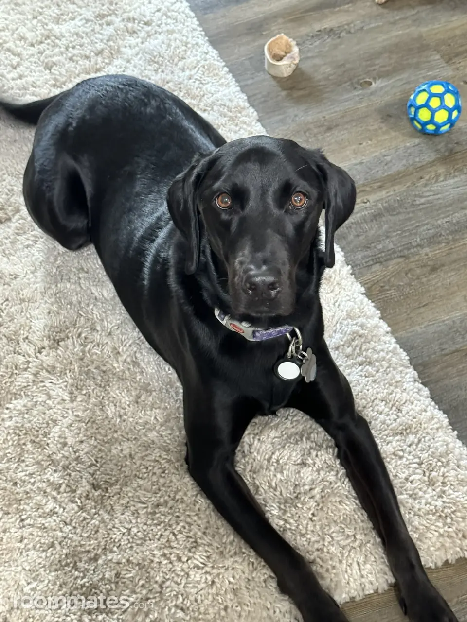 Profile photo 2 of 2