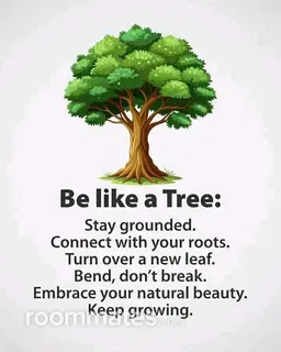 Room for rent in Indianapolis, IN $500, house