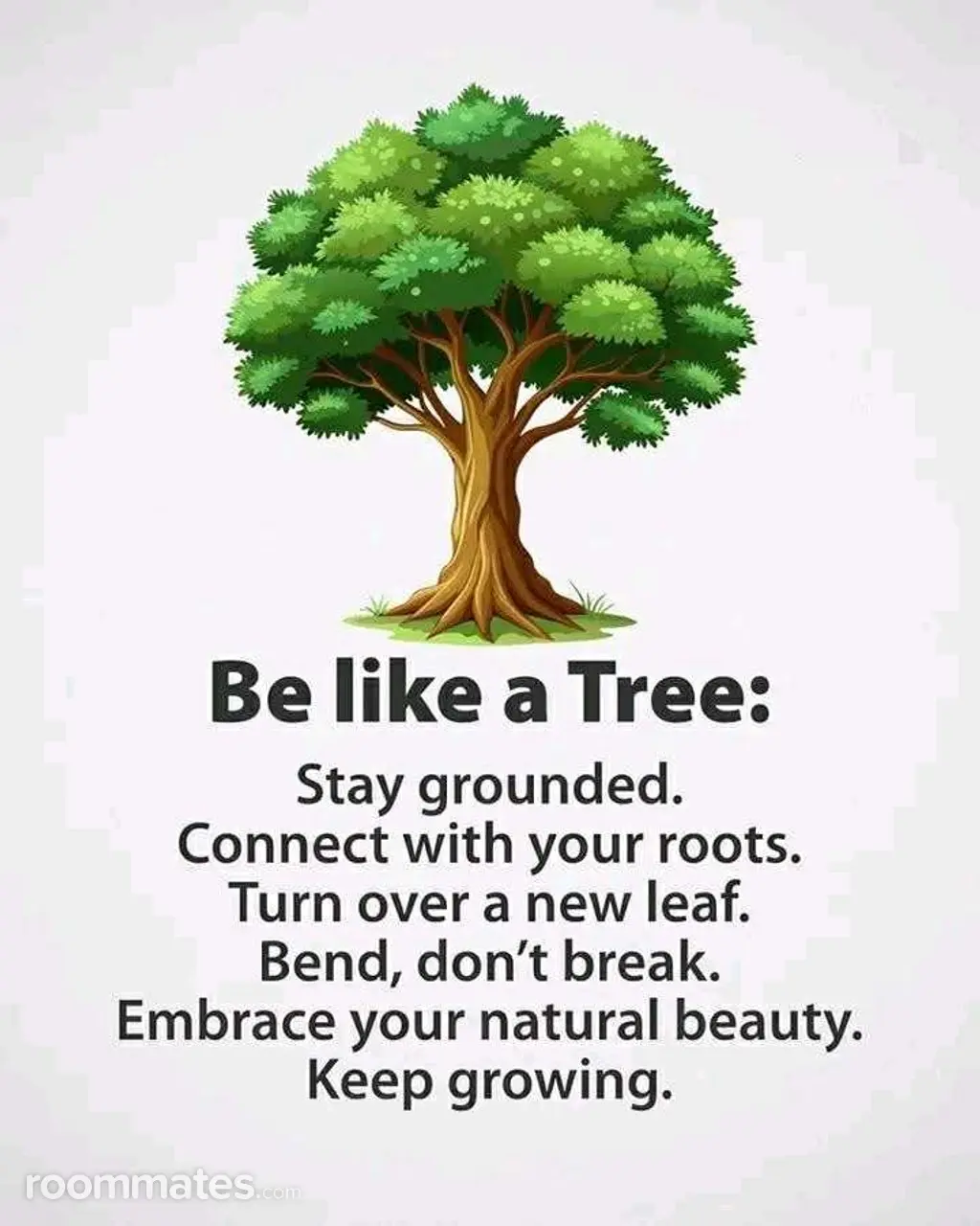 Profile photo 1 of 6