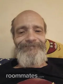 Roommate looking Saint Louis, MO, $2000