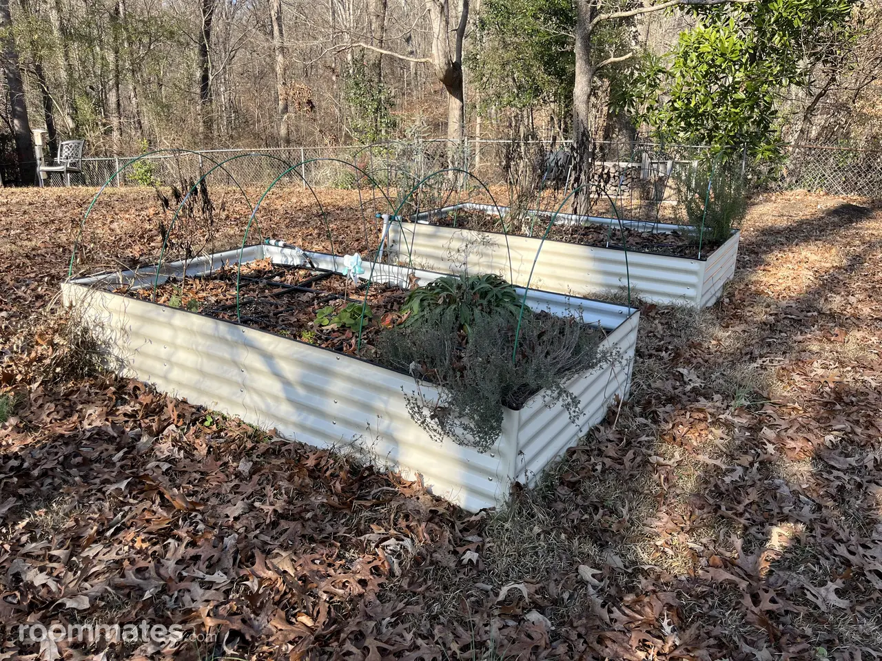 Profile photo 7 of 11