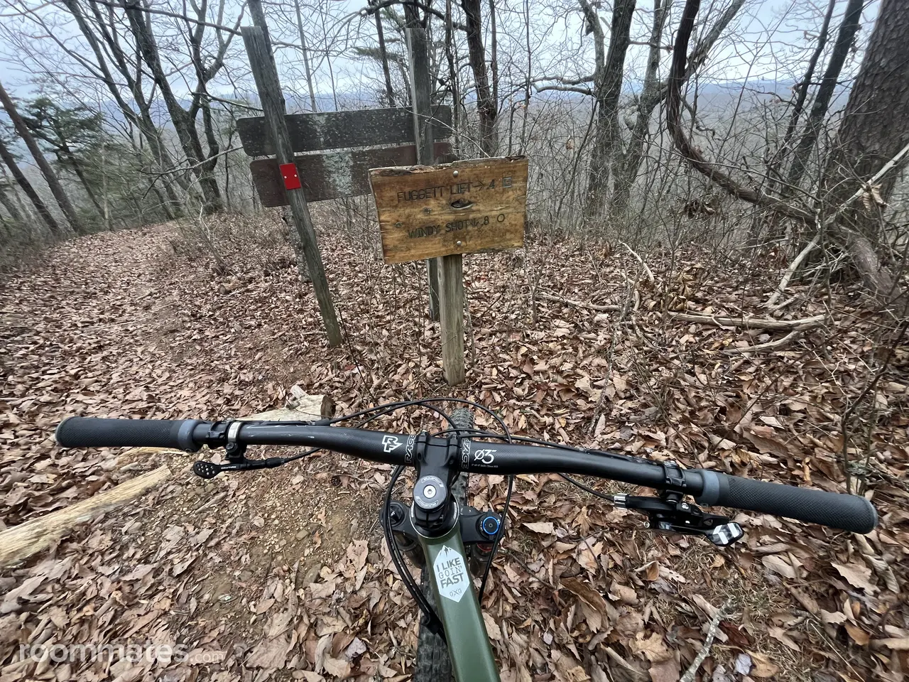 Profile photo 10 of 11