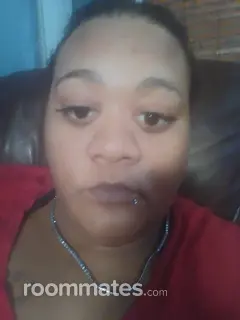 Roommate looking Cleveland Heights, OH, $400