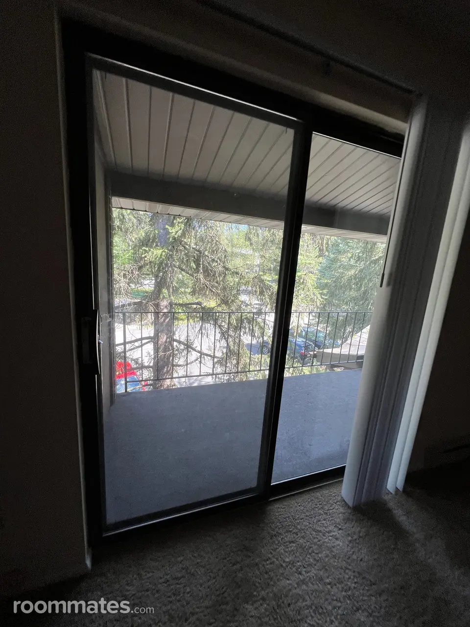 Profile photo 8 of 9