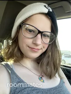 Roommate looking Phoenix, AZ, $800