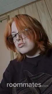 Roommate looking Urbana, IL, $500