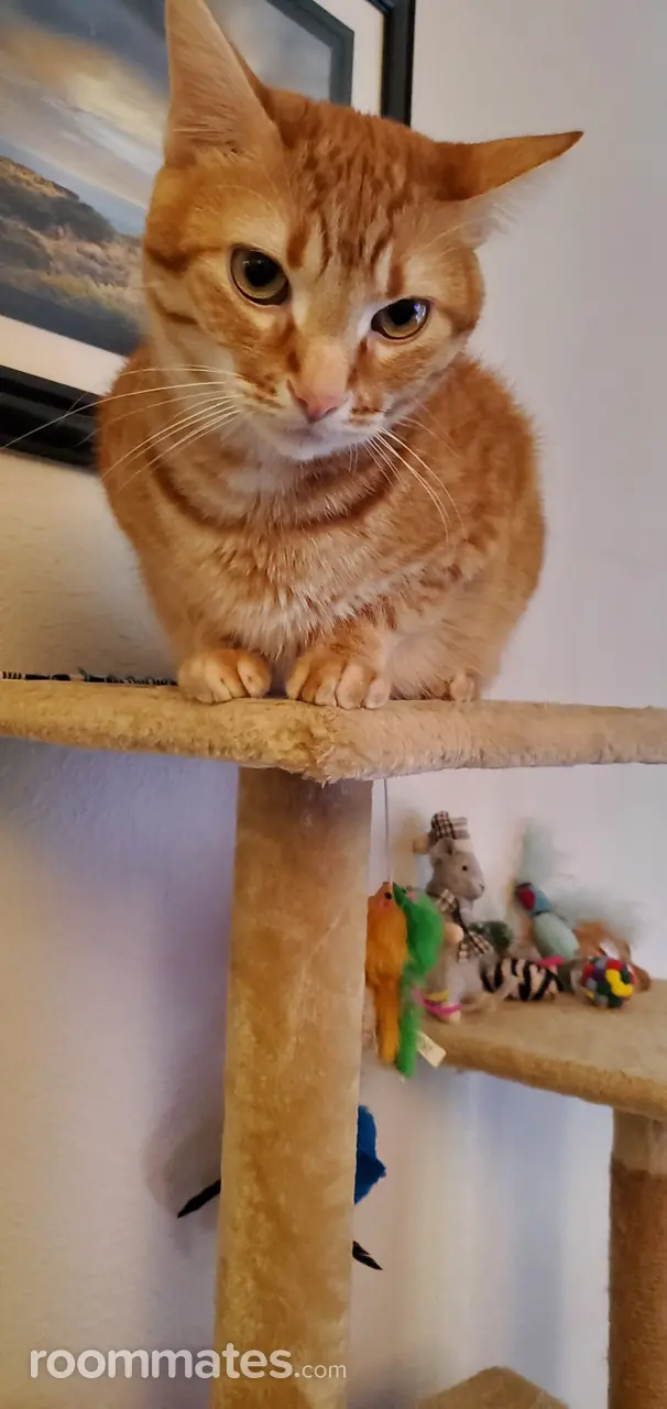 Profile photo 3 of 3