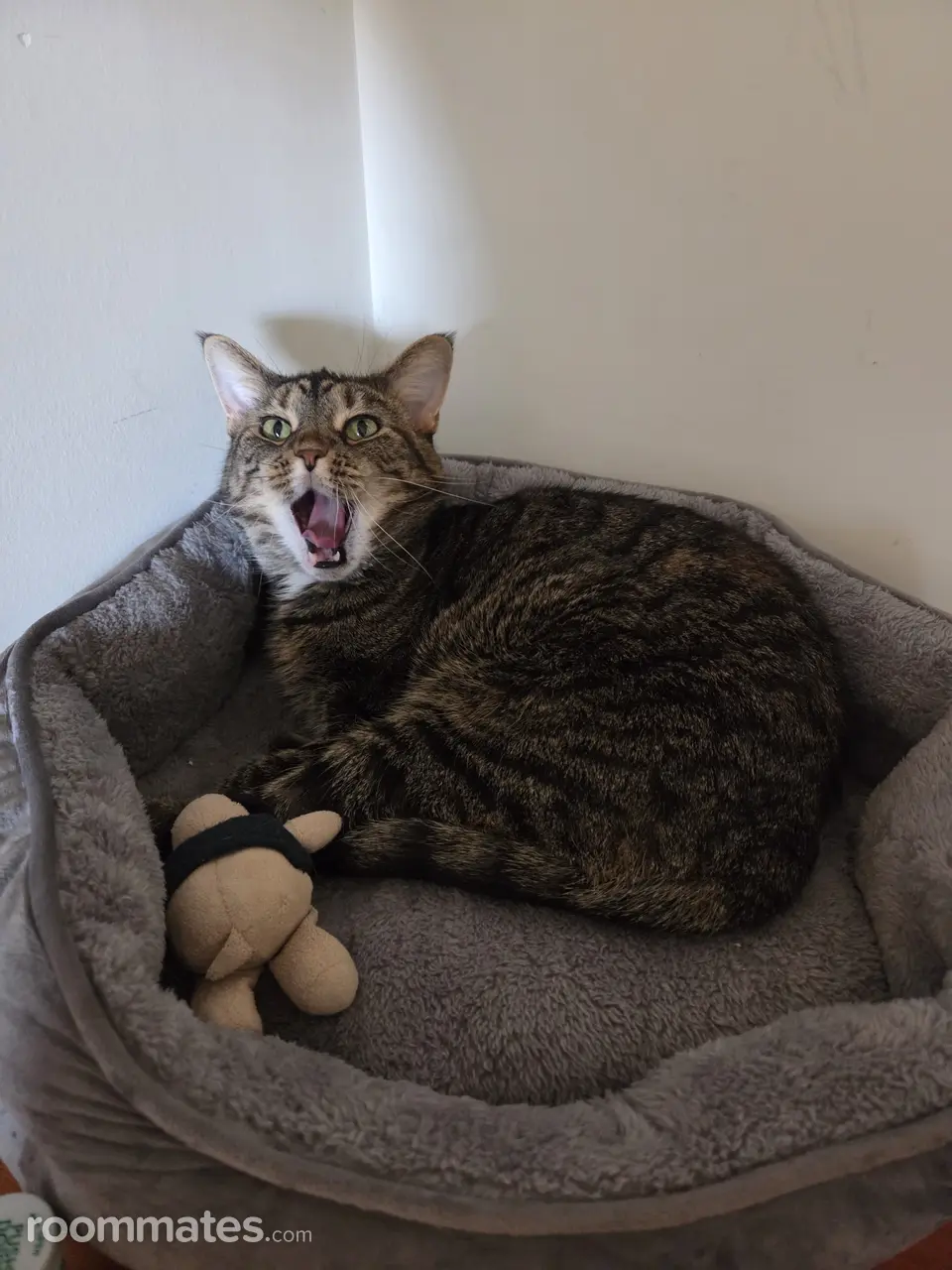 Profile photo 2 of 5