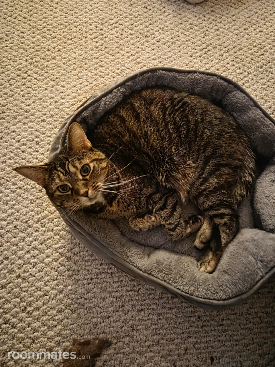 Profile photo 3 of 5