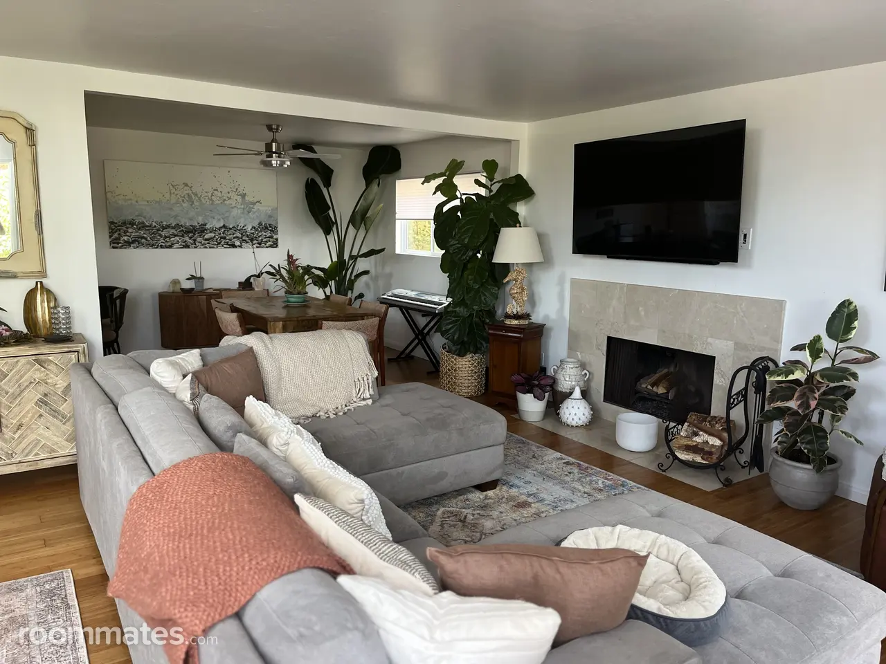 Profile photo 6 of 14