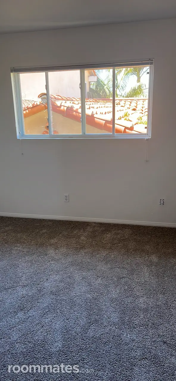 Profile photo 13 of 14