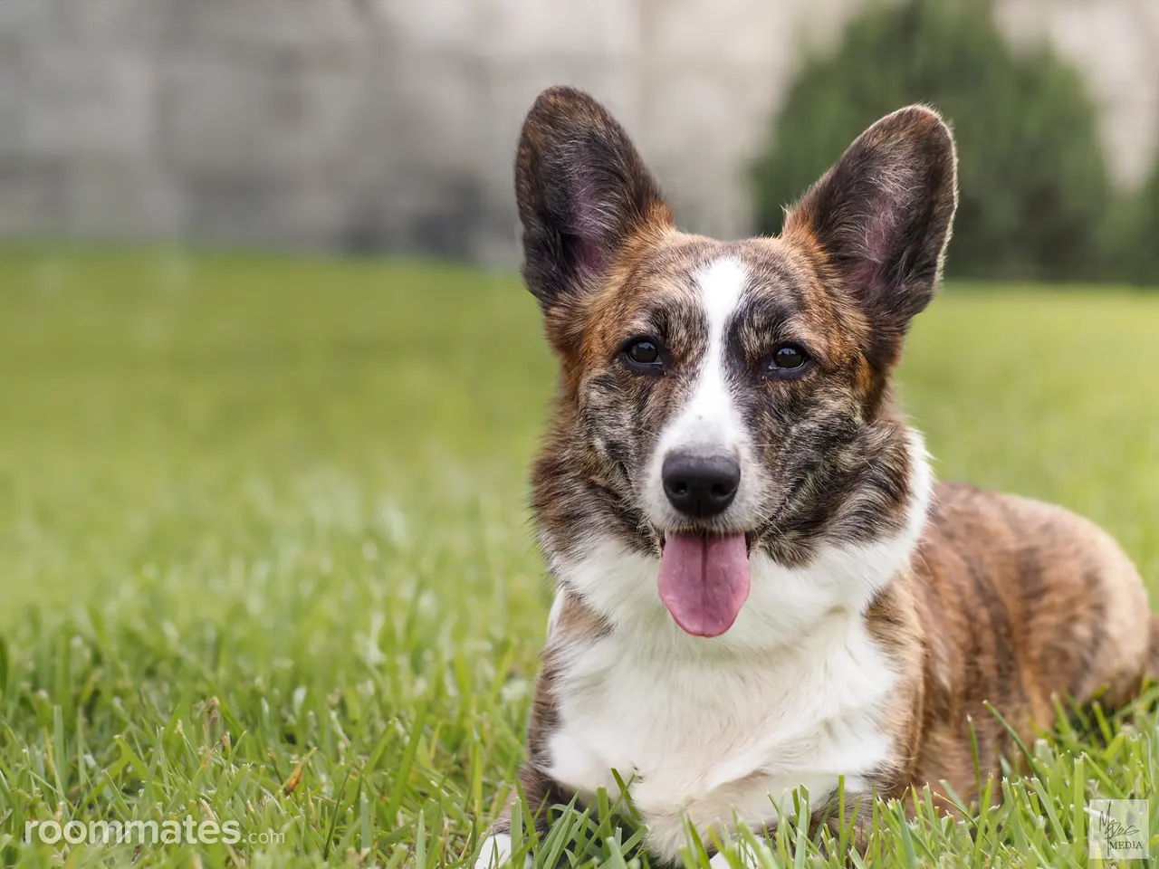 Profile photo 1 of 1