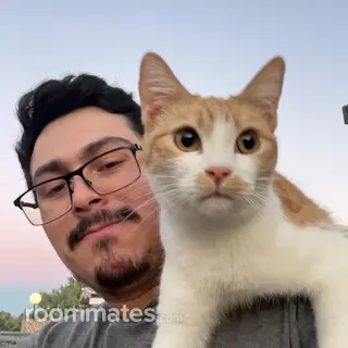 Roommate looking Palm Desert, CA, $800