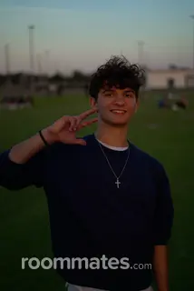 Roommate looking Tampa, FL, $1400