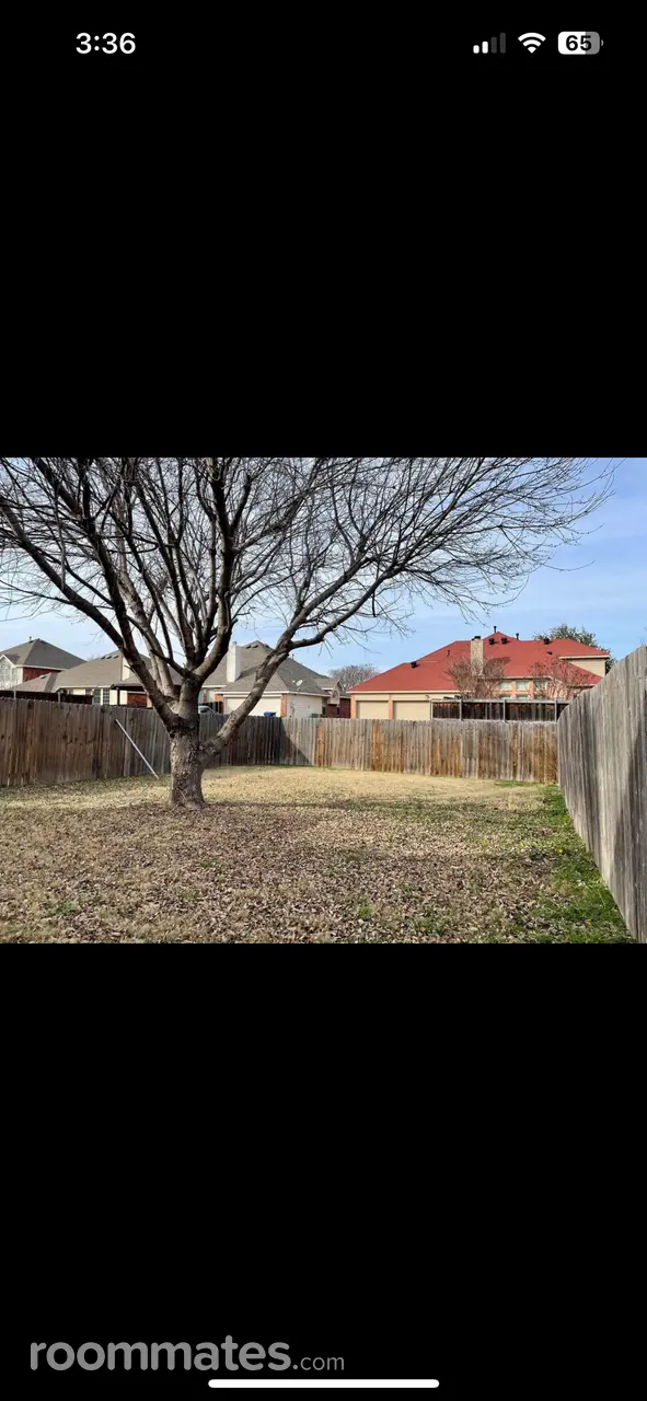 Profile photo 1 of 6