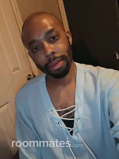 Roommate looking Denver, CO, $1000