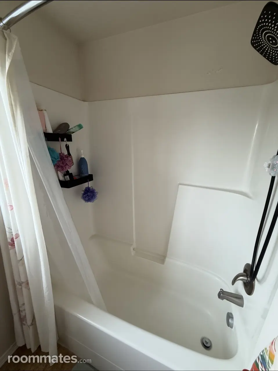 Profile photo 5 of 12