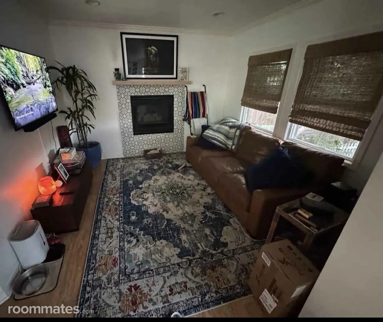 Profile photo 2 of 11