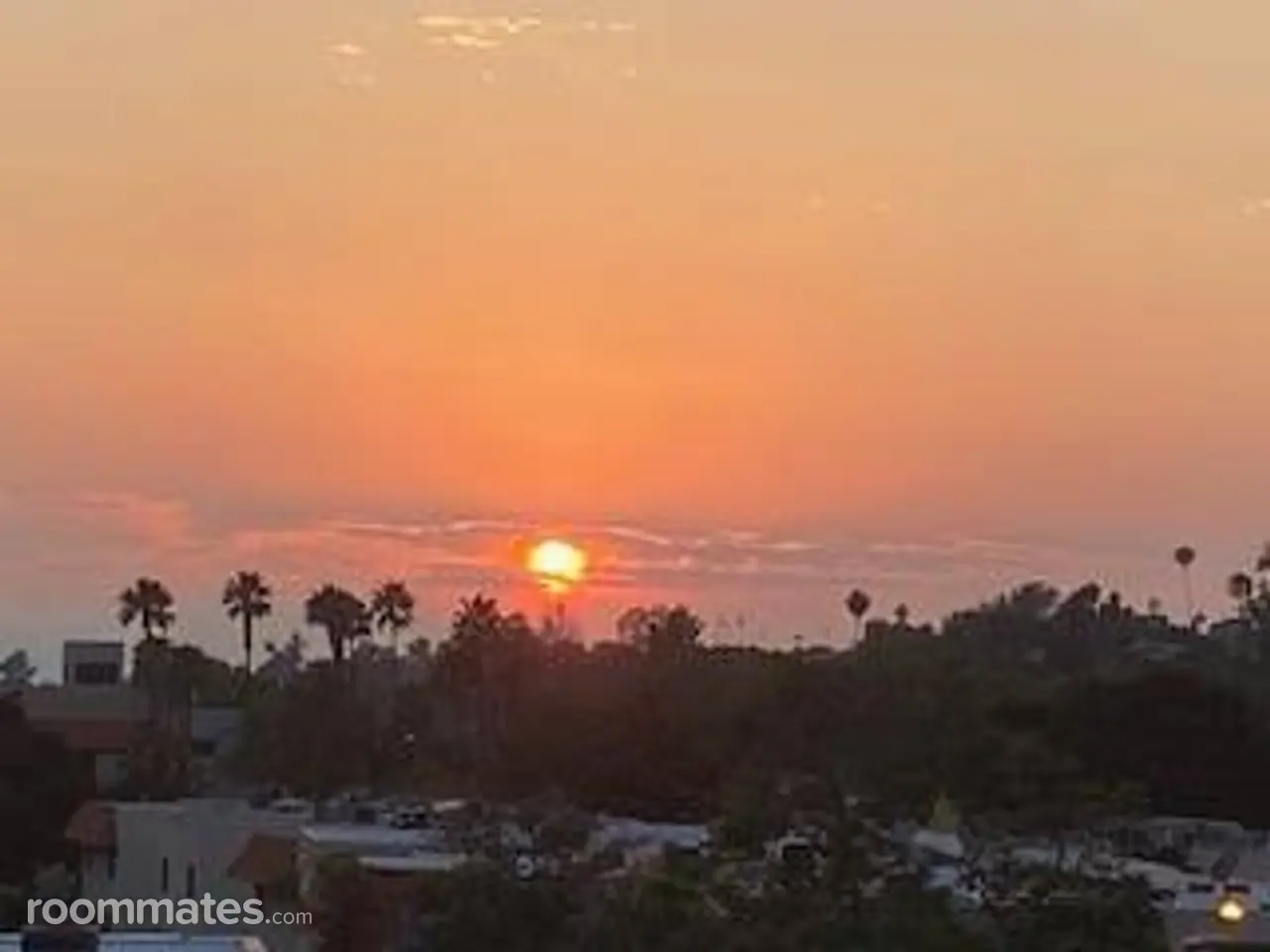 Profile photo 1 of 11