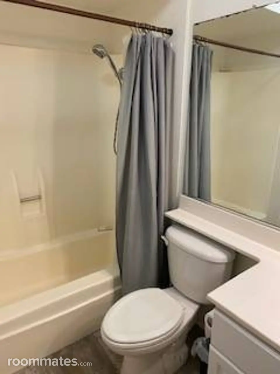 Profile photo 7 of 11