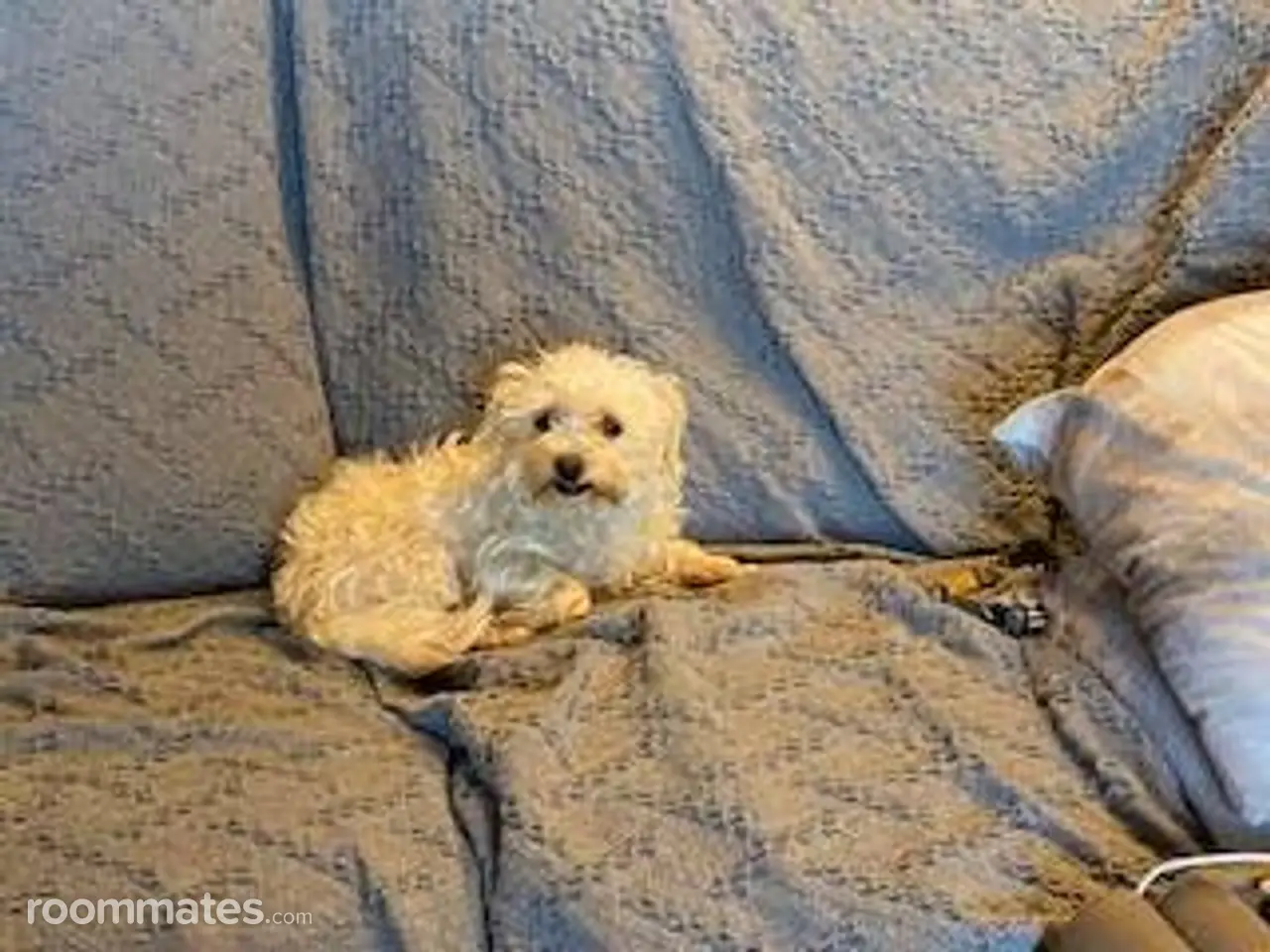 Profile photo 10 of 11