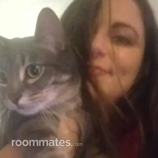 Roommate looking Phoenix, AZ, $800