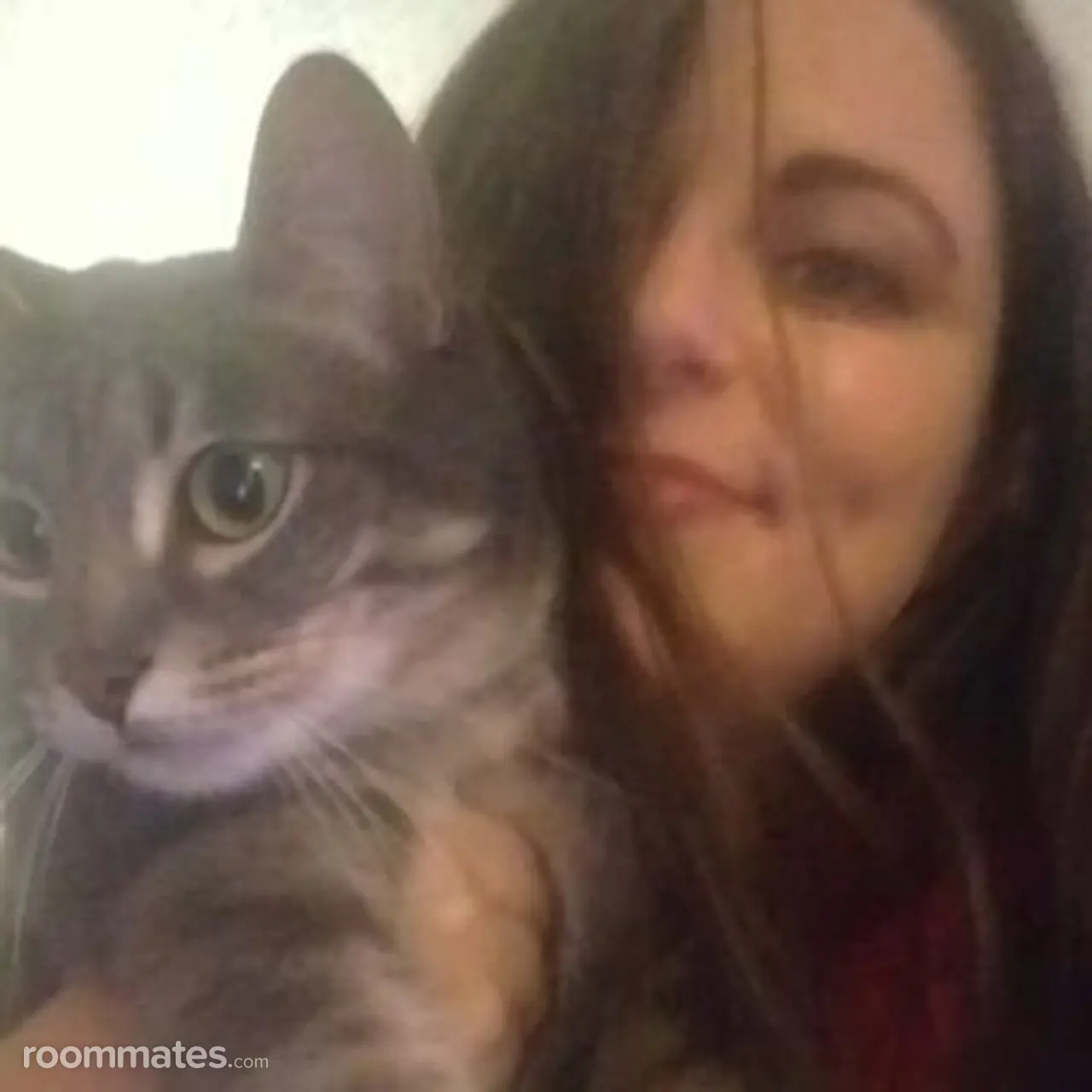 Profile photo 1 of 1