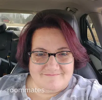 Roommate looking Bridgeport, CT, $600